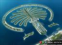 Palm Island