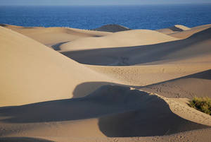 Gran Canaria Maspalomas - cc Stephan Downes / Flickr