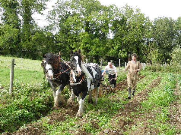 Arbeiten auf der Farm