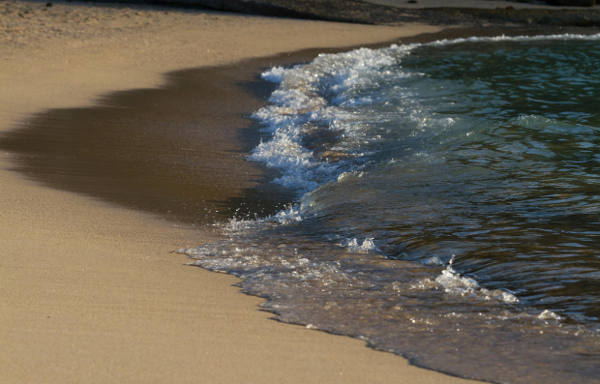 Der Strand direkt vor der Haustür cc Philipp / sydneybreeze.com