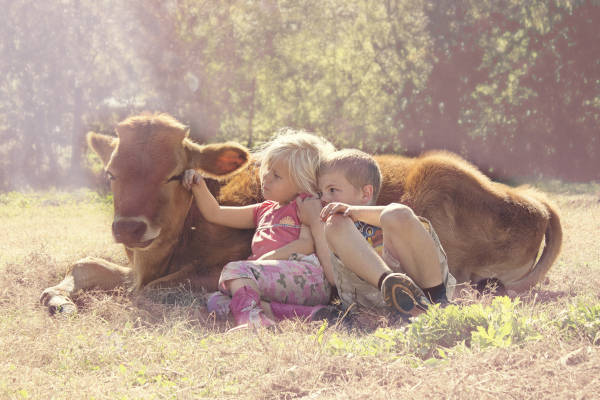 Farmleben in den USA