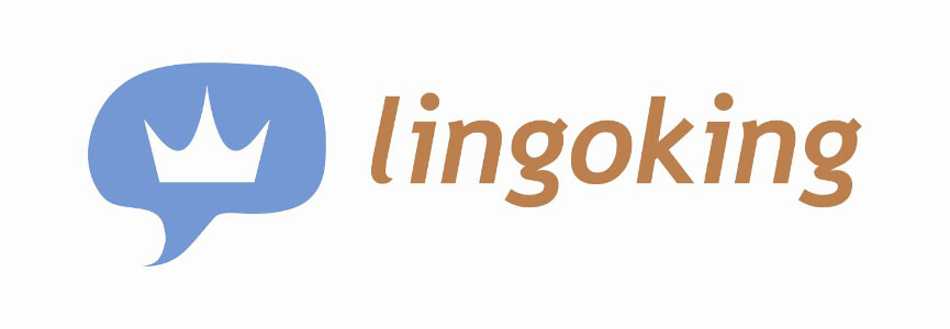 Lingoking Erfahrungen: Der Online-Übersetzungsservice im Test