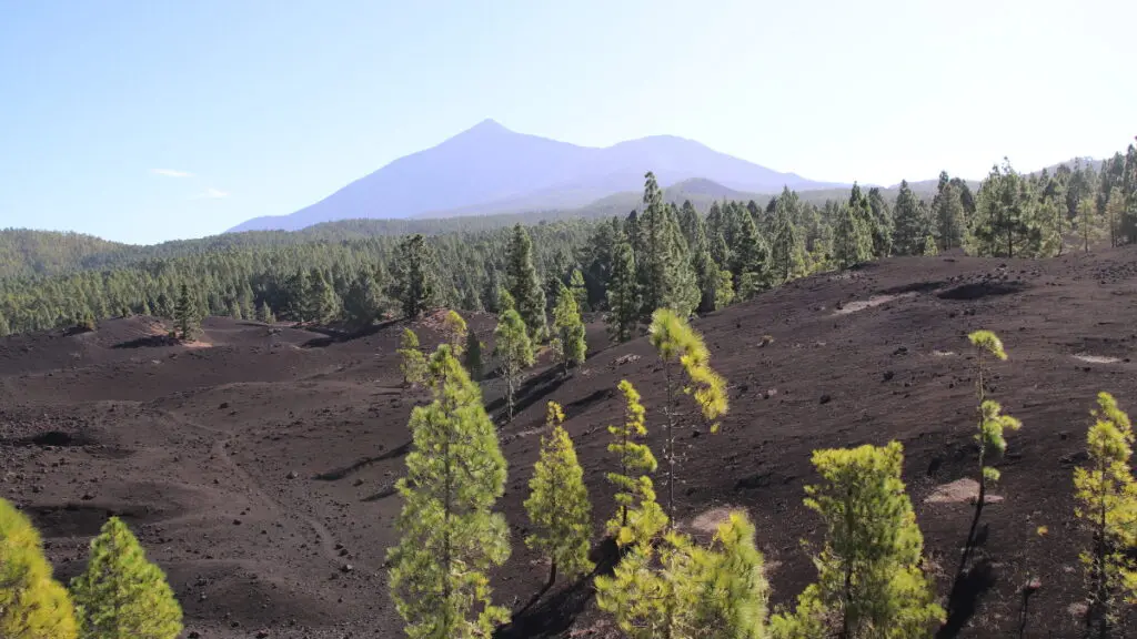 Vulkanwanderung im Norden Teneriffas